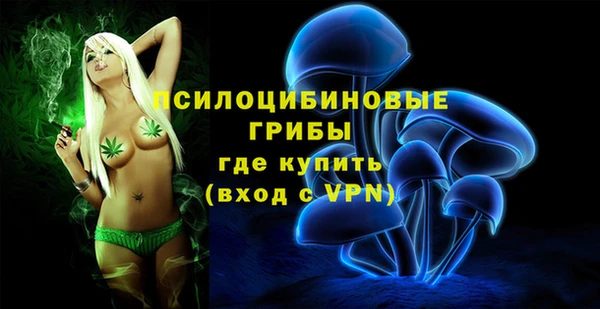 эйфоретик Аркадак