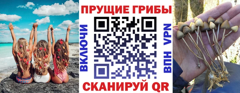 Псилоцибиновые грибы мухоморы  OMG ТОР  Новопавловск  где продают  